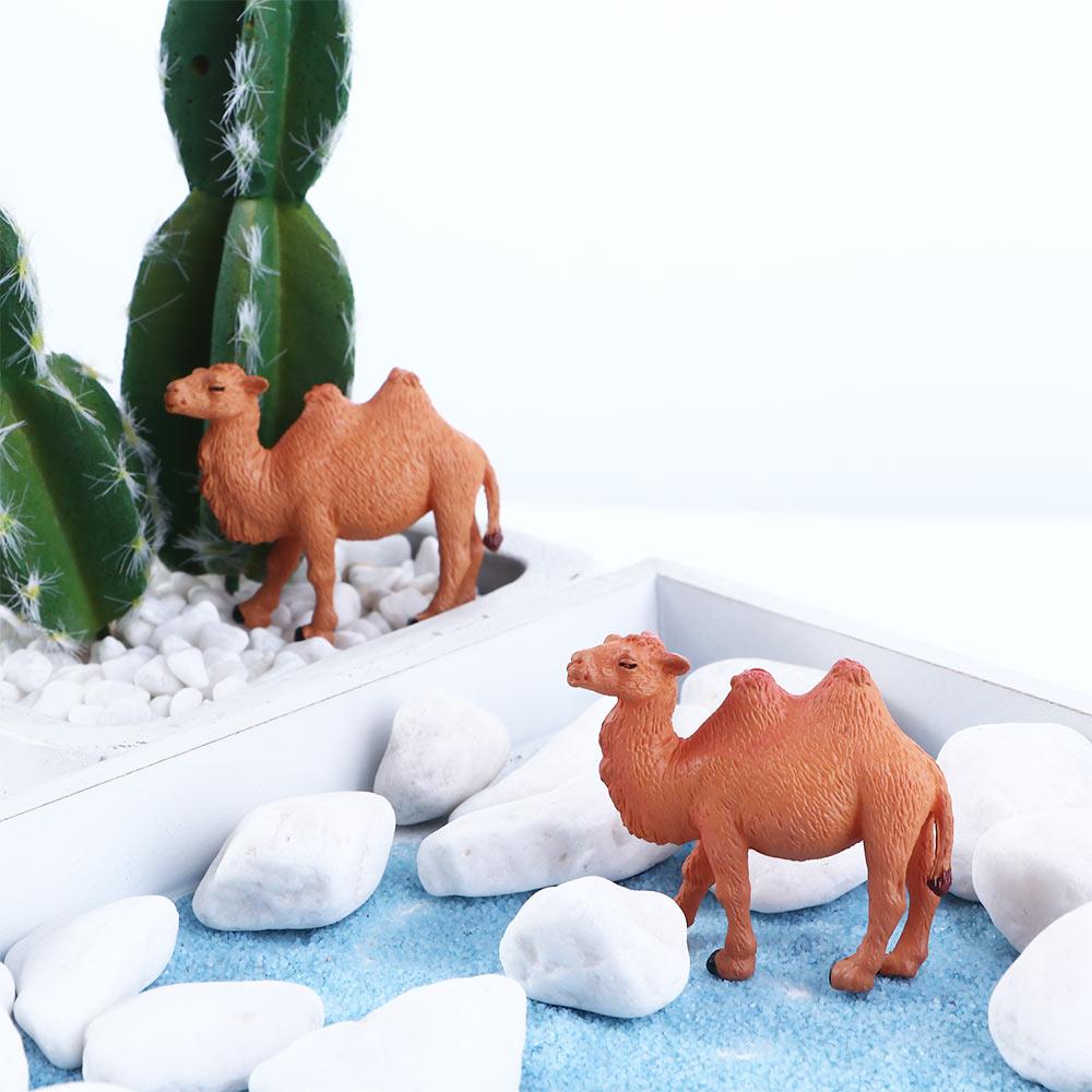 2/6/10pcs DIY Accessories Camel Glass Decor Model Figurines Home Decoration Fairy Garden Miniature 2pcs
2/6/10pcs DIY Accessories Camel Glass Decor Model Figurines Home Decoration Fairy Garden Miniature 2pcs