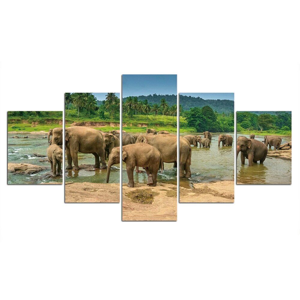 5Pcs Elephant Africa Safari Decor 5 Pieces Pictures Canvas Wall Art Poster Home Decor Room Decor Modern Abstract Paintings
5Pcs Elephant Africa Safari Decor 5 Pieces Pictures Canvas Wall Art Poster Home Decor Room Decor Modern Abstract Paintings