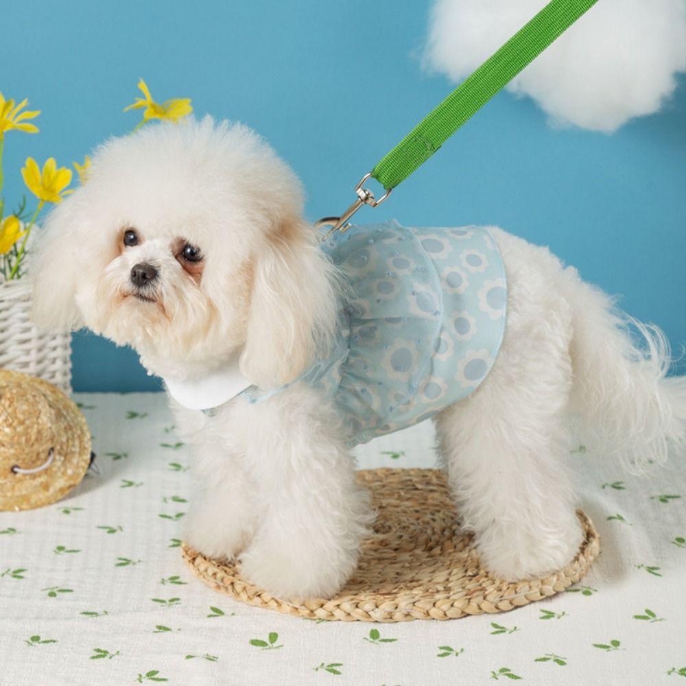 Soft Dogs Princess Dress Breathable Sweet Cat Dress Fashion Pet Dresses for Spring/Summer L синій
Soft Dogs Princess Dress Breathable Sweet Cat Dress Fashion Pet Dresses for Spring/Summer L синій