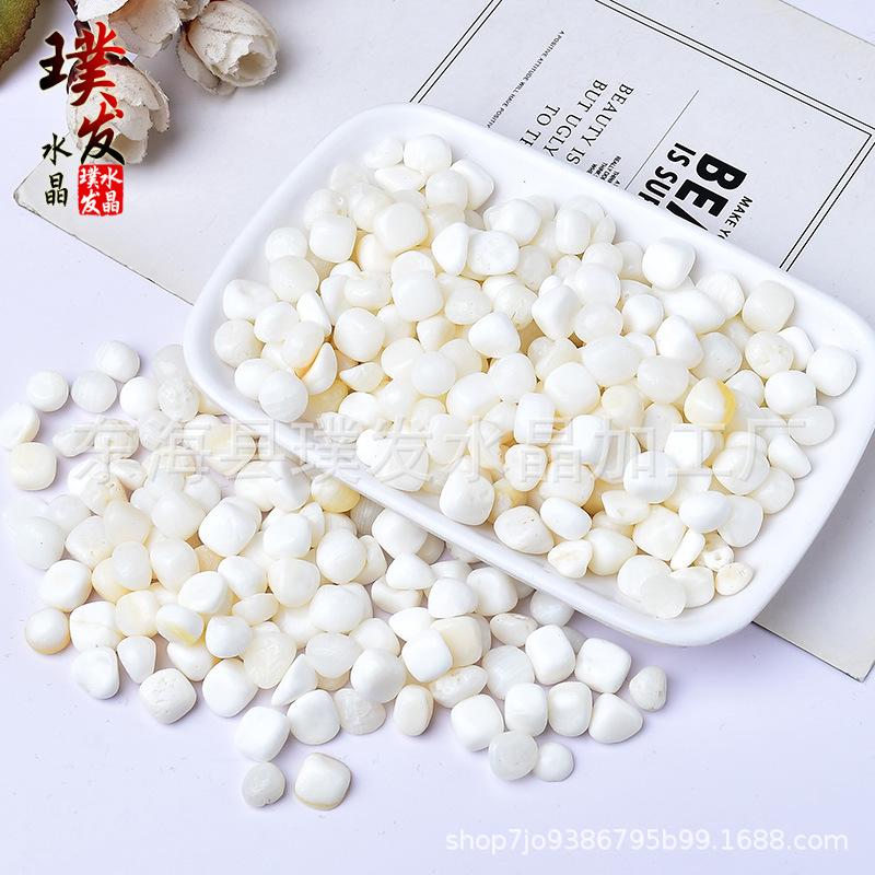 Natural White Seashell Gravel for Buddha Offering, Gemstone Fish Tank, and Flower Pot Paving. 5-7mm 500g
Natural White Seashell Gravel for Buddha Offering, Gemstone Fish Tank, and Flower Pot Paving. 5-7mm 500g