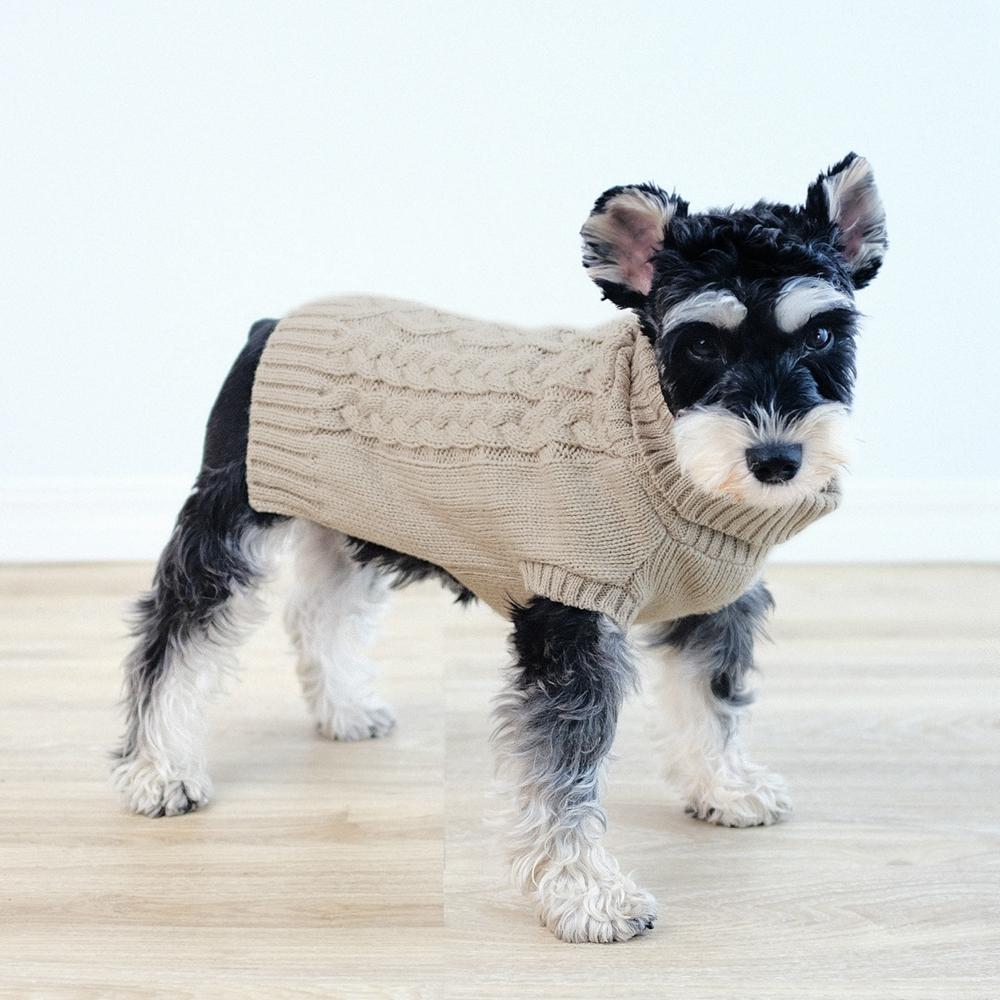 Warm Dog Sweatshirt Elastic cuff Comfortable and breathable Cat Sweater Dog Sweaters XS
Warm Dog Sweatshirt Elastic cuff Comfortable and breathable Cat Sweater Dog Sweaters XS