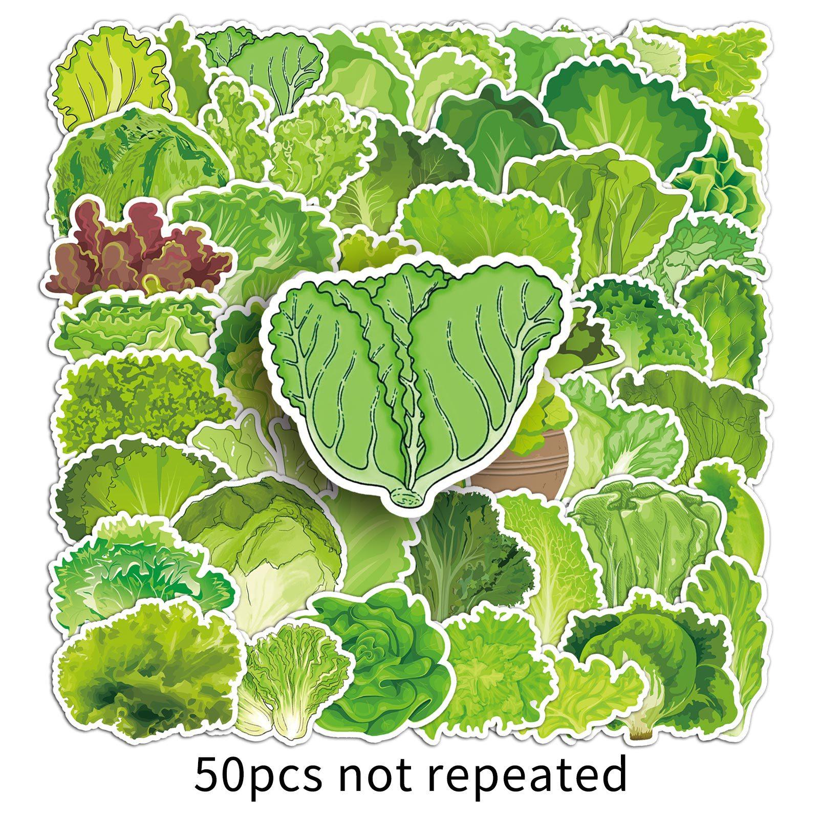 50 Sheets of Lettuce Doodle Stickers Personalized Creative Vegetable Decoration Mobile Phone Case Suitcase Water Cup Waterproof Stickers
50 Sheets of Lettuce Doodle Stickers Personalized Creative Vegetable Decoration Mobile Phone Case Suitcase Water Cup Waterproof Stickers