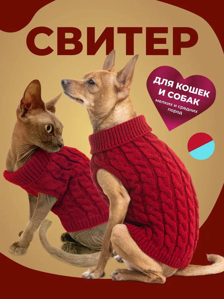 Одяг для домашніх собак на ґудзиках, спортивний світшот на чотири лапи для вулиці S винний
Одяг для домашніх собак на ґудзиках, спортивний світшот на чотири лапи для вулиці S винний