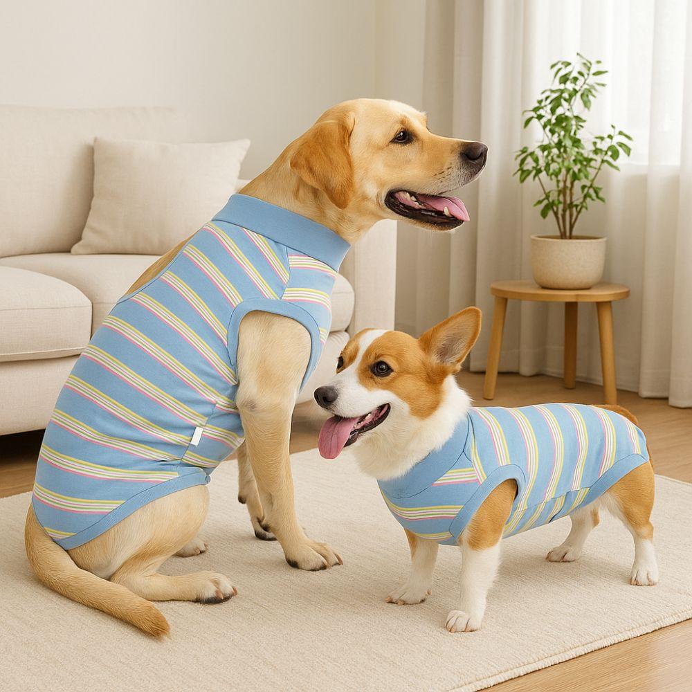 Soft Warm Neuter Anti-Lick Suit Thickened Bite Protective Outfit Home Recovery S кларет
Soft Warm Neuter Anti-Lick Suit Thickened Bite Protective Outfit Home Recovery S кларет
