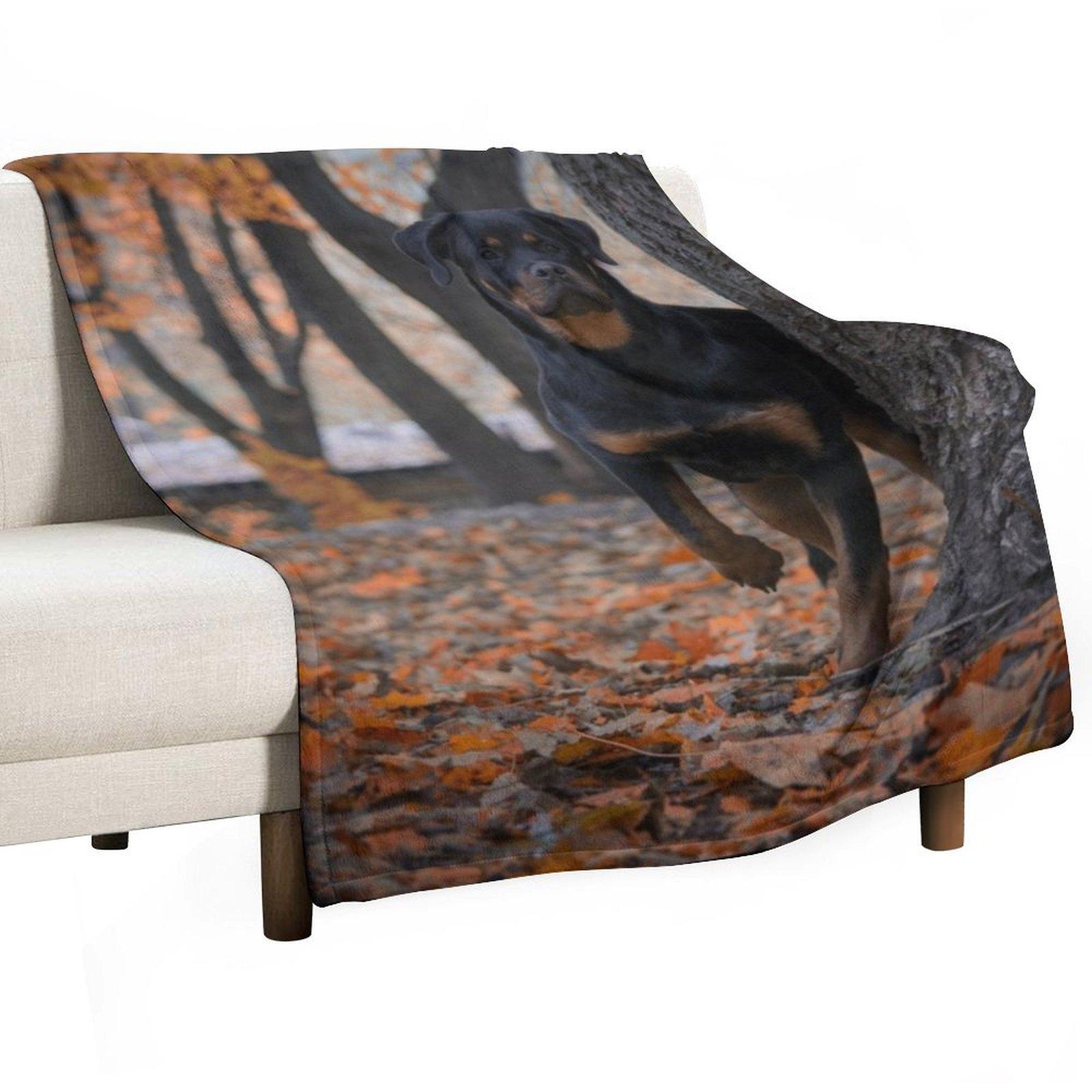 Плед Ротвейлер Hairys Fashion Диваны теплые для зимы теплые зимние Пледы 30x40in
Плед Ротвейлер Hairys Fashion Диваны теплые для зимы теплые зимние Пледы 30x40in