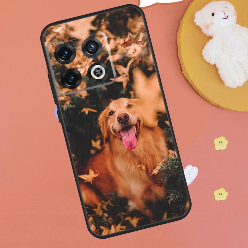 Golden Retriever Friend Case For OnePlus 13T 10T 8T 12R 13R 15 13 12 11 9 10 Pro Nord CE 5 2 3 4 Lite N20 N30 Funda OnePlus 10R
Golden Retriever Friend Case For OnePlus 13T 10T 8T 12R 13R 15 13 12 11 9 10 Pro Nord CE 5 2 3 4 Lite N20 N30 Funda OnePlus 10R