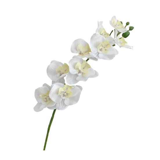 27.5 Inch Artificial Phalaenopsis Flower Branch 9 Full Blooms Fake Silk Orchids with Stem for Home Office Wedding Decoration білий
27.5 Inch Artificial Phalaenopsis Flower Branch 9 Full Blooms Fake Silk Orchids with Stem for Home Office Wedding Decoration білий