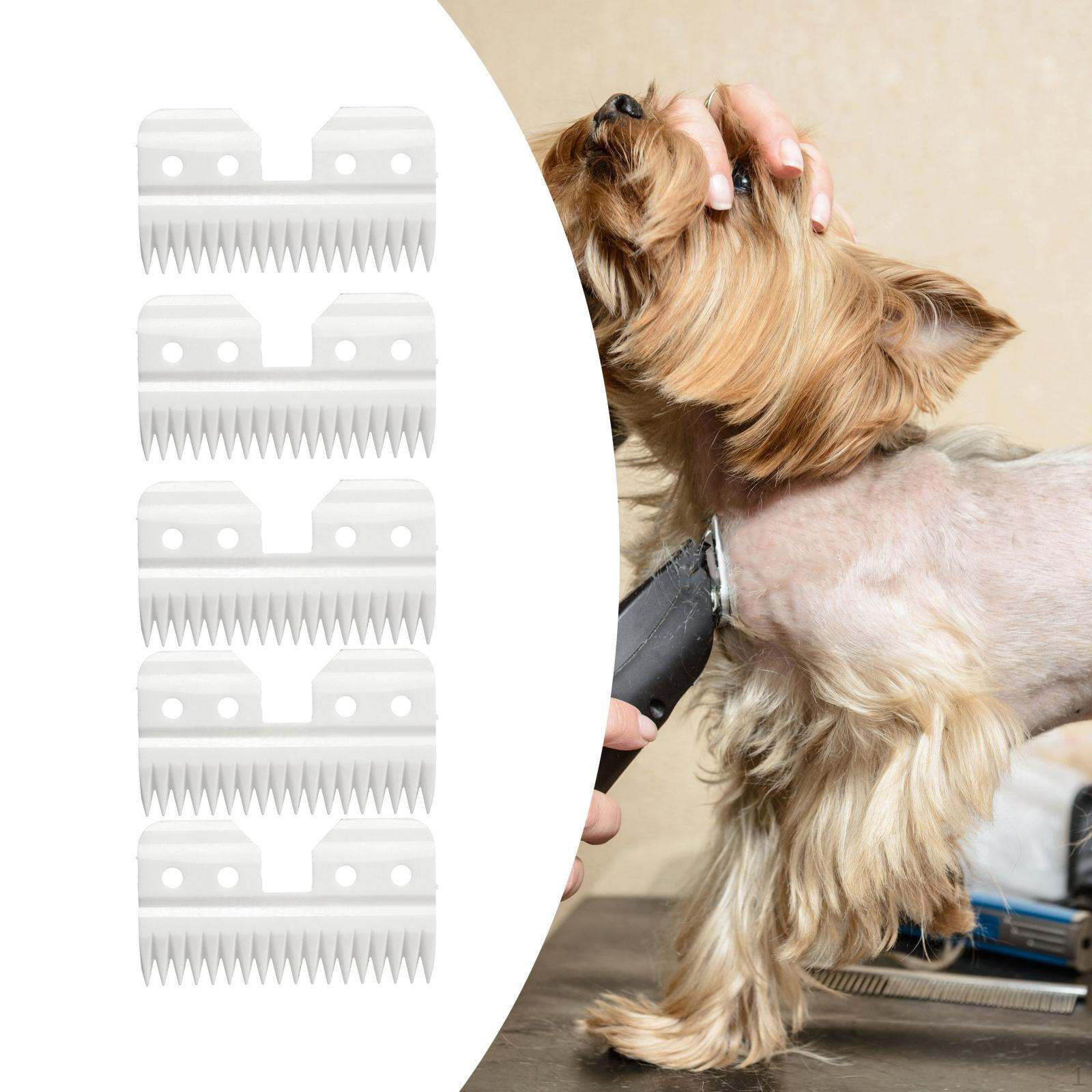 Pack of 5 Trimming Head Pet Trimmer Clipper Blade Heads Cutters 18 Tooth for A5 Grooming Cutter
Pack of 5 Trimming Head Pet Trimmer Clipper Blade Heads Cutters 18 Tooth for A5 Grooming Cutter