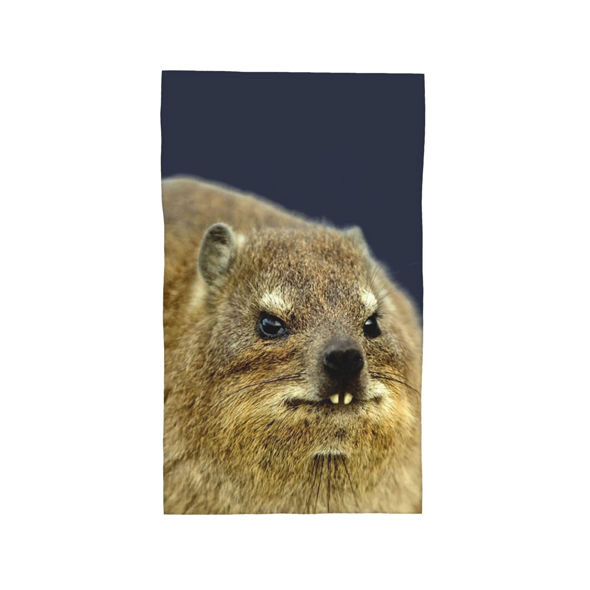 Christmas Wawa Mug Animal Hyrax Soft Face Towel Quick Dry Pool Bath Cotton Towels Breathable W30*H60(CM)
Christmas Wawa Mug Animal Hyrax Soft Face Towel Quick Dry Pool Bath Cotton Towels Breathable W30*H60(CM)