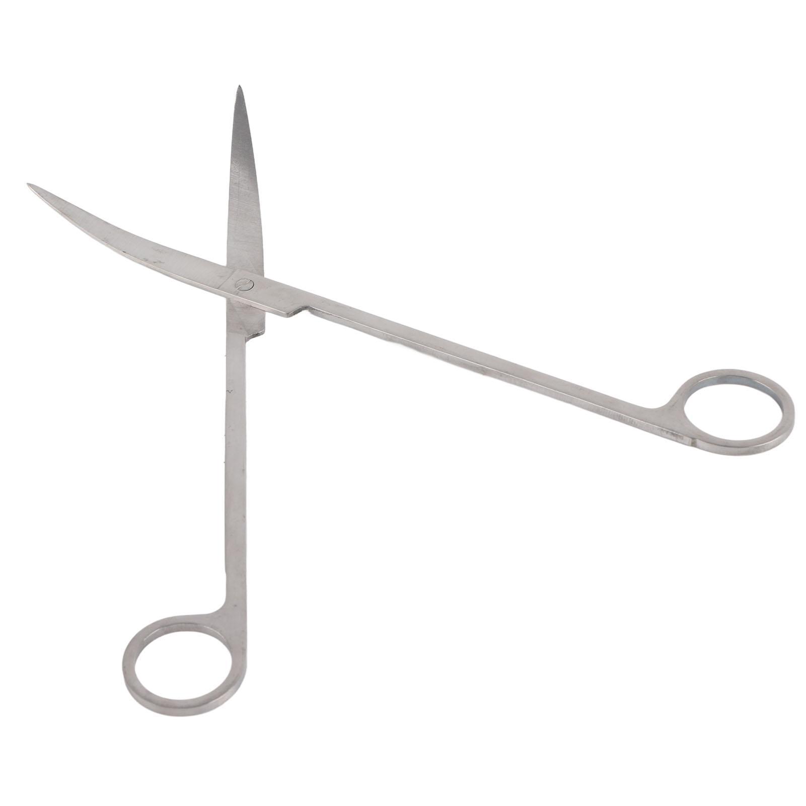 1PC Professional Stainless Steel Aquatic Plant Tongs Scissors for Aquarium Fish Tank(Curved )
1PC Professional Stainless Steel Aquatic Plant Tongs Scissors for Aquarium Fish Tank(Curved )