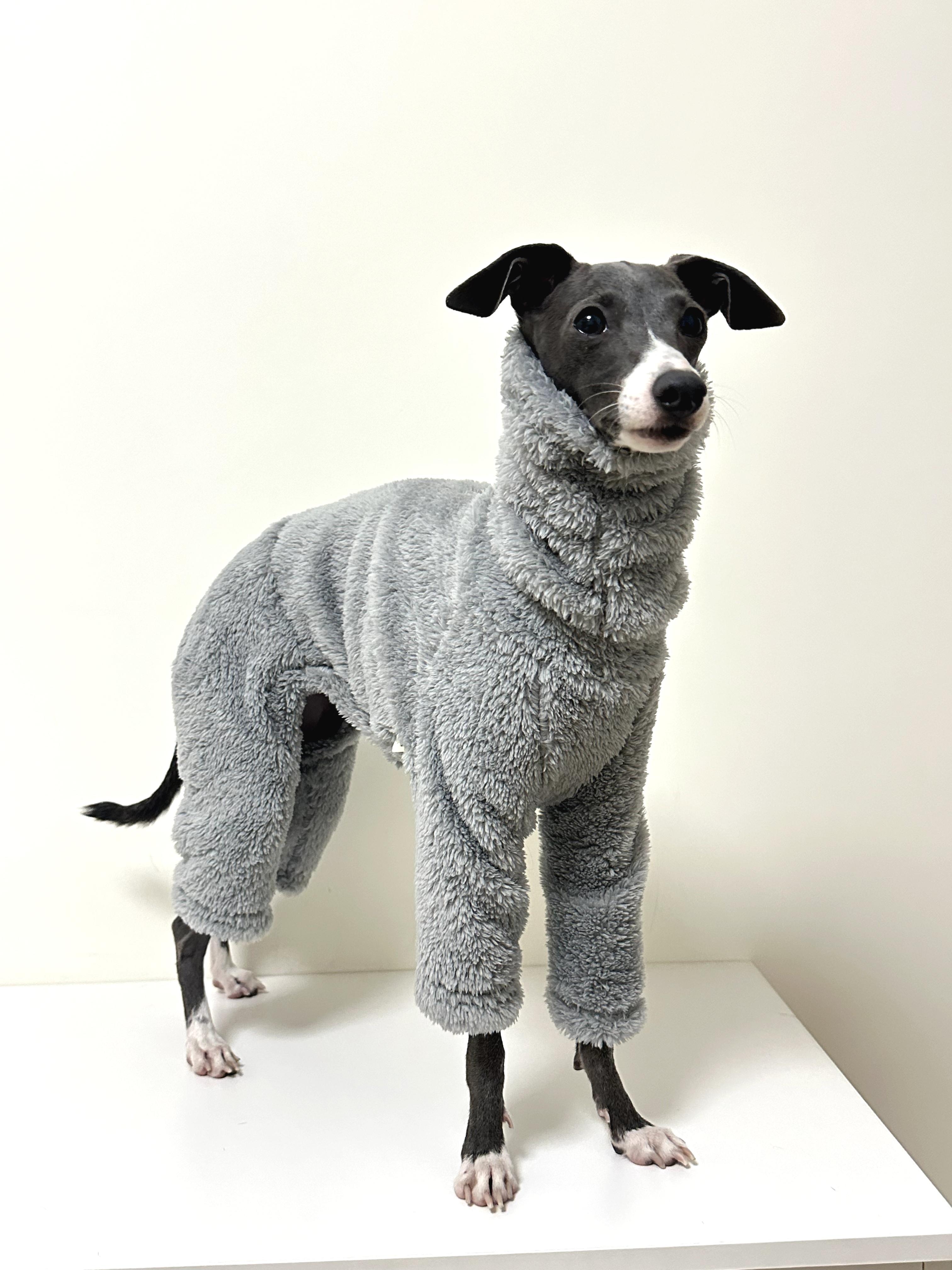 Thick Fleece Dog Jumpsuitm,Pet Dogs Pajamas Overall - Flexible Fabric & Four Legs Covered,Whippet Greyhound Warm Puppy Clothing 1 серый
Thick Fleece Dog Jumpsuitm,Pet Dogs Pajamas Overall - Flexible Fabric & Four Legs Covered,Whippet Greyhound Warm Puppy Clothing 1 серый