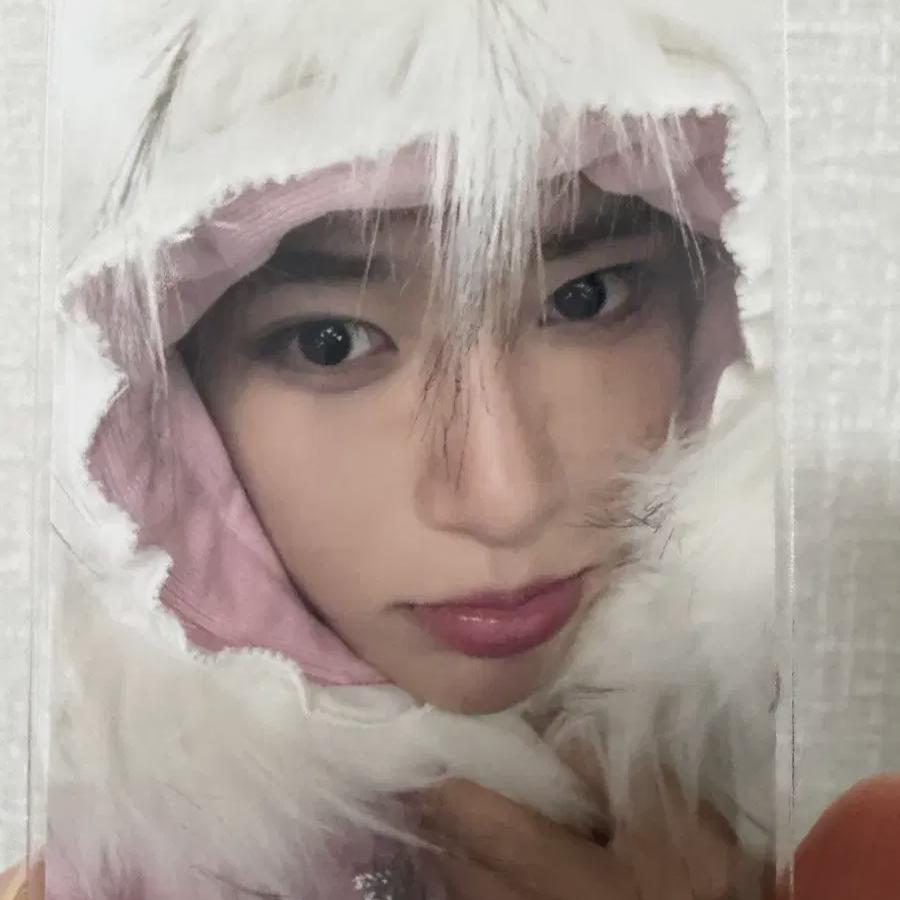 Ncitywish Color First Limited Photobook Zion Photocard
Ncitywish Color First Limited Photobook Zion Photocard