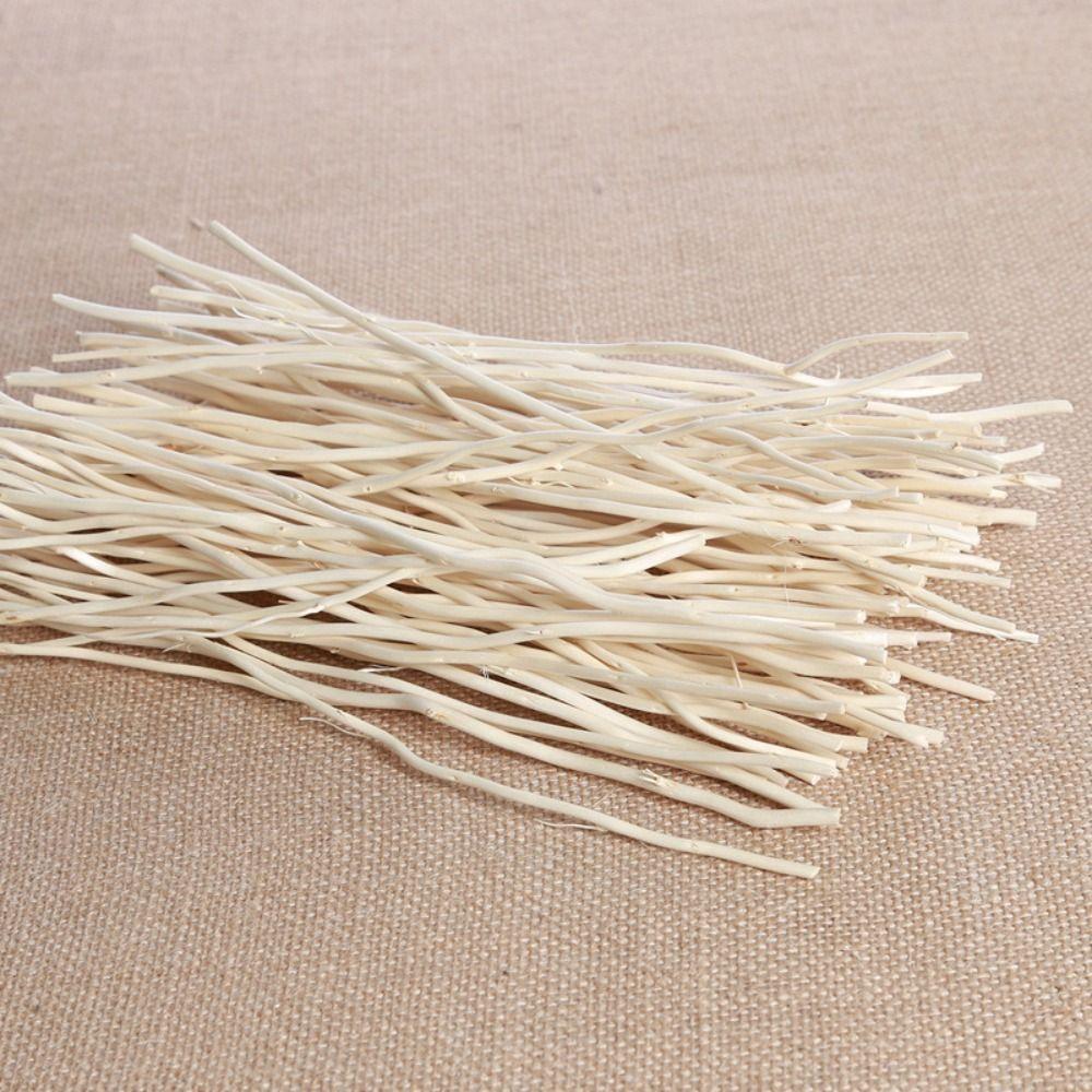 Lateral Branches Home Decor No Fire Willow Branch Aroma Diffuser Dry Branches Aromatherapy Sticks
Lateral Branches Home Decor No Fire Willow Branch Aroma Diffuser Dry Branches Aromatherapy Sticks