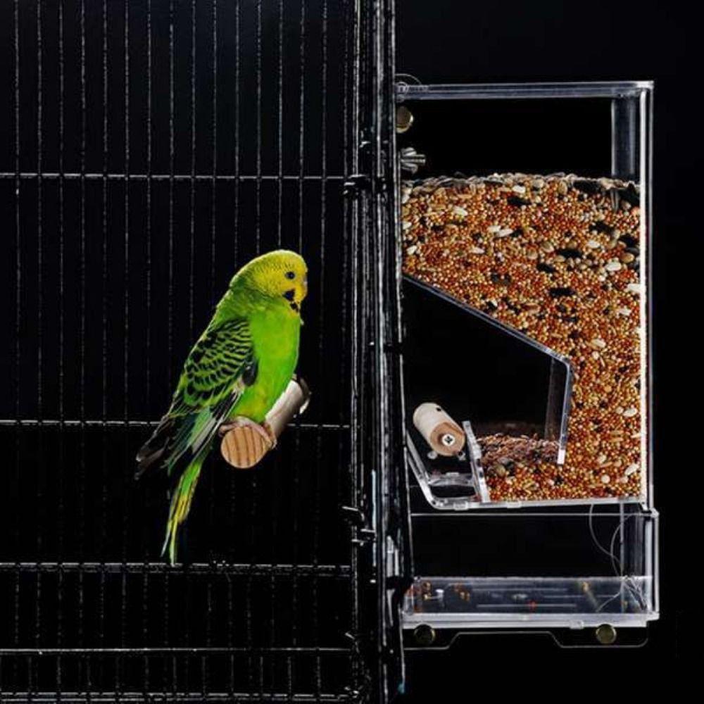 Leak Proof for Smail Bird Parakeets Bird Feeders Feeder Bowls Bird Cage Accessories Food Container прозорий
Leak Proof for Smail Bird Parakeets Bird Feeders Feeder Bowls Bird Cage Accessories Food Container прозорий