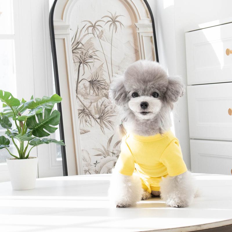 Бавовняний собачий піжамний комбінезон для хлопчика та дівчинки, одяг для собак, померанський шпіц, йоркширський тер єр, бішон фрізе, пудель, шнауцер, одяг для маленьких собак, аксесуари для домашніх тварин, зимовий XXS жовтий
Бавовняний собачий піжамний комбінезон для хлопчика та дівчинки, одяг для собак, померанський шпіц, йоркширський тер єр, бішон фрізе, пудель, шнауцер, одяг для маленьких собак, аксесуари для домашніх тварин, зимовий XXS жовтий