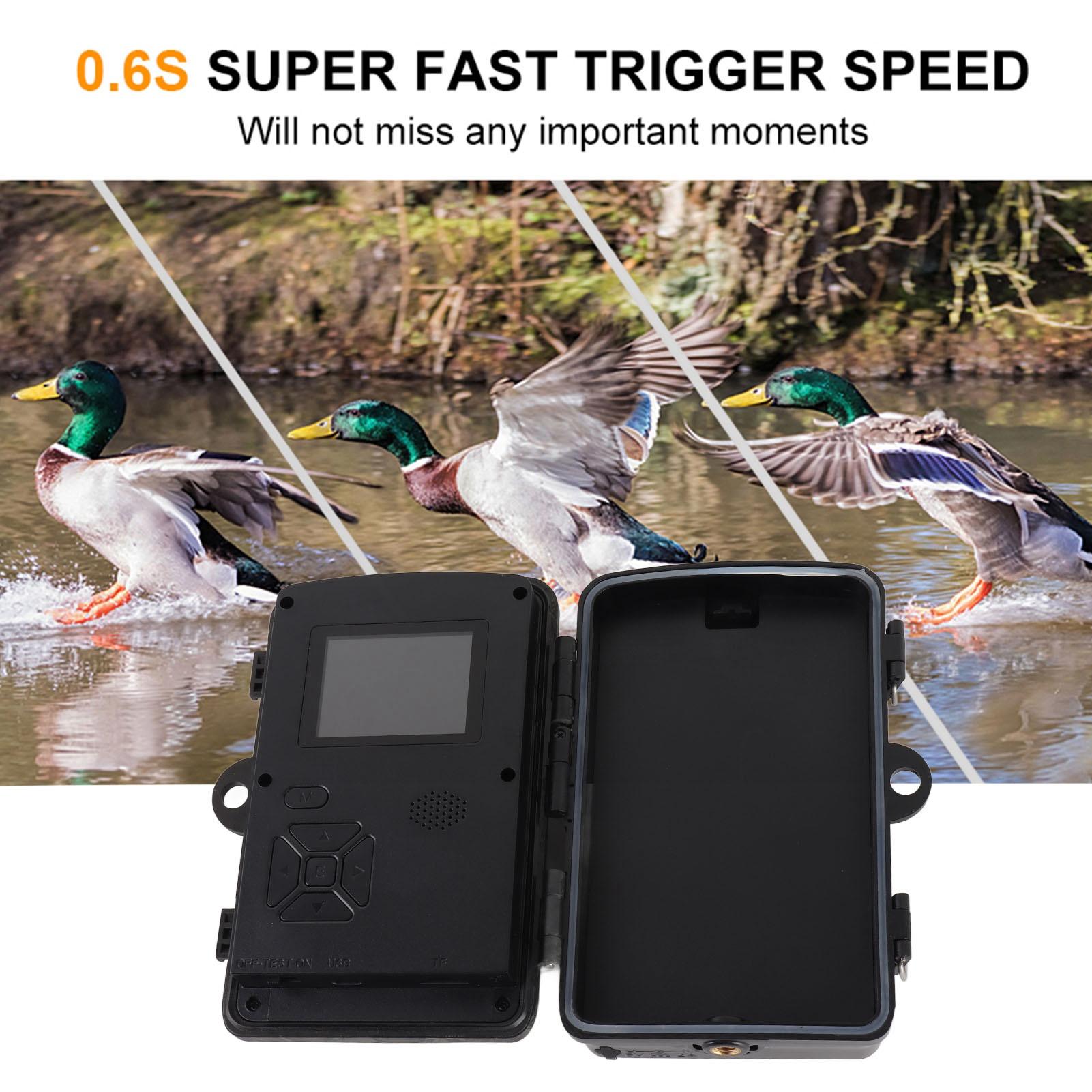 1080P Hunting Camera 2.0in LCD 16MP Infrared Night Mobile Monitoring IP66 Waterproof Trail Camera
1080P Hunting Camera 2.0in LCD 16MP Infrared Night Mobile Monitoring IP66 Waterproof Trail Camera