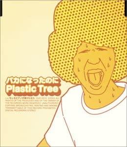 CD PLASTIC TREE, HULL, YU AKU; SEIJI K - Fool ni nata noni SHR0010 Japan ObiJapanese Pop/Rock Used
CD PLASTIC TREE, HULL, YU AKU; SEIJI K - Fool ni nata noni SHR0010 Japan ObiJapanese Pop/Rock Used
