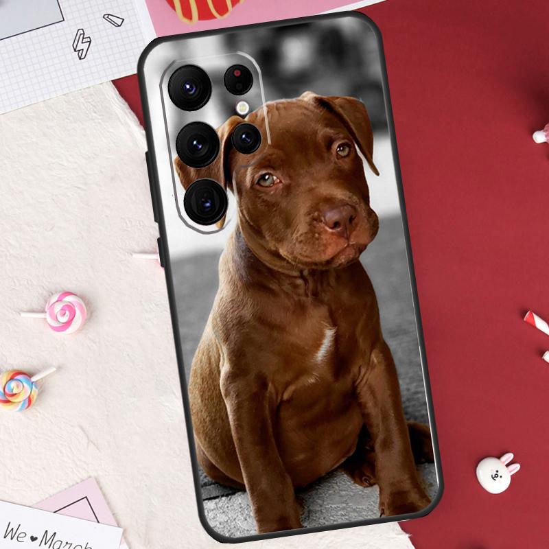 Cute Pit Bull Dog Pitbull Case For Samsung Galaxy S25 FE S23 FE S20 S21 S22 S24 S25 S26 Ultra S10 S25 Plus Cover Shell Galaxy S20Ultra
Cute Pit Bull Dog Pitbull Case For Samsung Galaxy S25 FE S23 FE S20 S21 S22 S24 S25 S26 Ultra S10 S25 Plus Cover Shell Galaxy S20Ultra