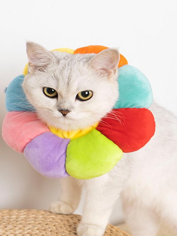 Ошейник для кошек Elizabeth, товары для кошек, защита от укусов и вылизывания, радужная ошейник Elizabeth, мягкая ткань, чехол для головы питомца Elizabeth, белый XS
Ошейник для кошек Elizabeth, товары для кошек, защита от укусов и вылизывания, радужная ошейник Elizabeth, мягкая ткань, чехол для головы питомца Elizabeth, белый XS