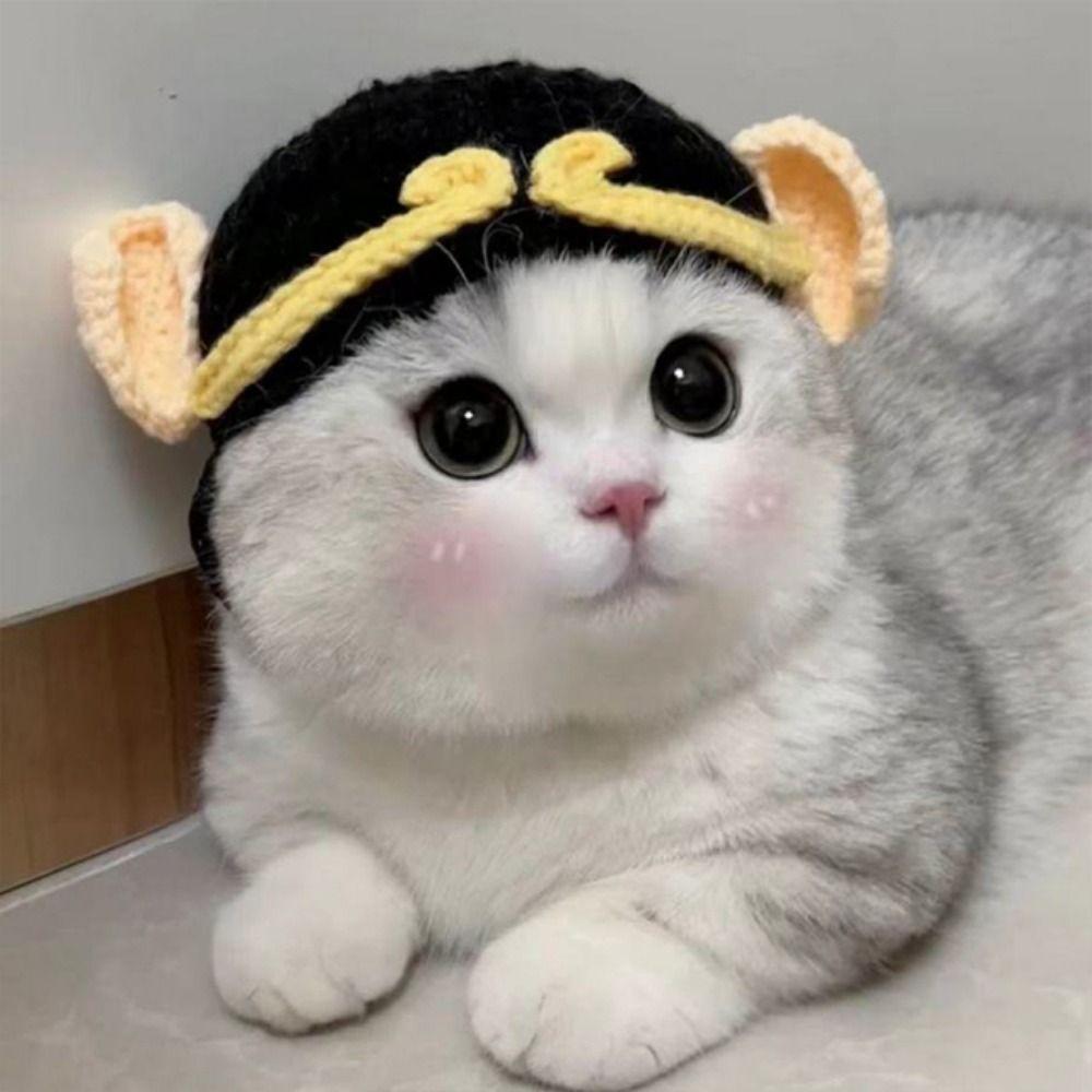 Cute 2023 Elastic Handmade Crochet Frog Hat for Party Photo Props Cat Hat Pet Cap S-zi bajie
Cute 2023 Elastic Handmade Crochet Frog Hat for Party Photo Props Cat Hat Pet Cap S-zi bajie