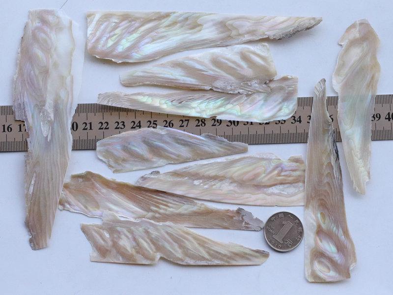 Переливающаяся инкрустация из раковины абалона: Декоративные лаковые элементы для музыкальных инструментов и нейл-арта.
Переливающаяся инкрустация из раковины абалона: Декоративные лаковые элементы для музыкальных инструментов и нейл-арта.