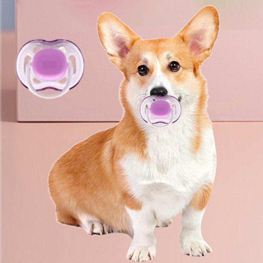 4pcs Bite Resistant Pet Pacifier Soft Dog Calming Pacifier Puppy Chewing Toy For Clean Teeth 4pcs
4pcs Bite Resistant Pet Pacifier Soft Dog Calming Pacifier Puppy Chewing Toy For Clean Teeth 4pcs