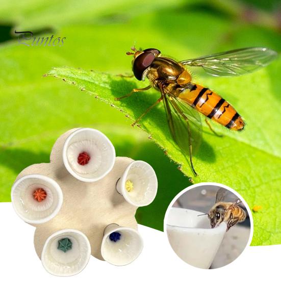 5Pcs Bee Insect Poliing Cup Resin Bee Butterfly Pitting Station Pollinator Cup Cup for Outdoor Garden Courtyard Decor A білий
5Pcs Bee Insect Poliing Cup Resin Bee Butterfly Pitting Station Pollinator Cup Cup for Outdoor Garden Courtyard Decor A білий