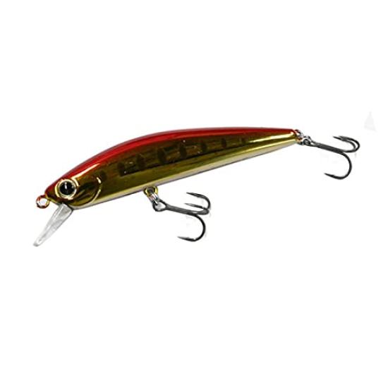 Water Land Jerk Sonic 55 23mm Plated Florida
Water Land Jerk Sonic 55 23mm Plated Florida