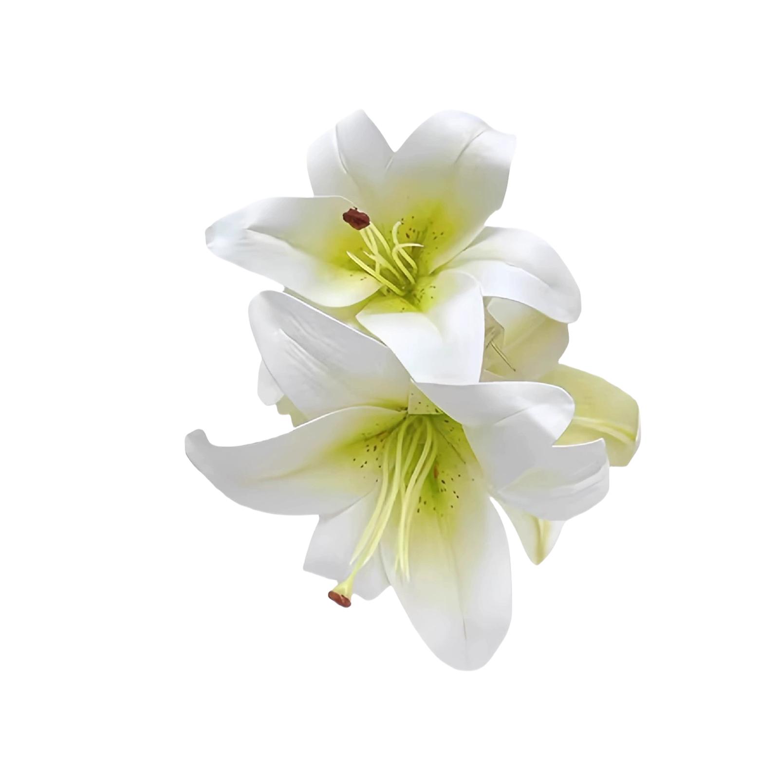 Элегантный цветочный зажим-краб для волос для женщин и девушек, надежная фиксация, аксессуар для укладки, пластиковое украшение для волос для свадебной вечеринки белый
Элегантный цветочный зажим-краб для волос для женщин и девушек, надежная фиксация, аксессуар для укладки, пластиковое украшение для волос для свадебной вечеринки белый