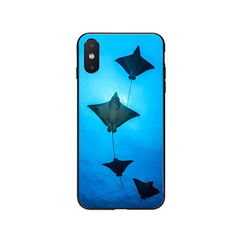 Чехол для телефона Manta Ray Paint для iPhone 14 13 Pro Max 12 11 ProMax XS MAX XR SE2 8 7 Plus X iPhone 7 8 SE
Чехол для телефона Manta Ray Paint для iPhone 14 13 Pro Max 12 11 ProMax XS MAX XR SE2 8 7 Plus X iPhone 7 8 SE