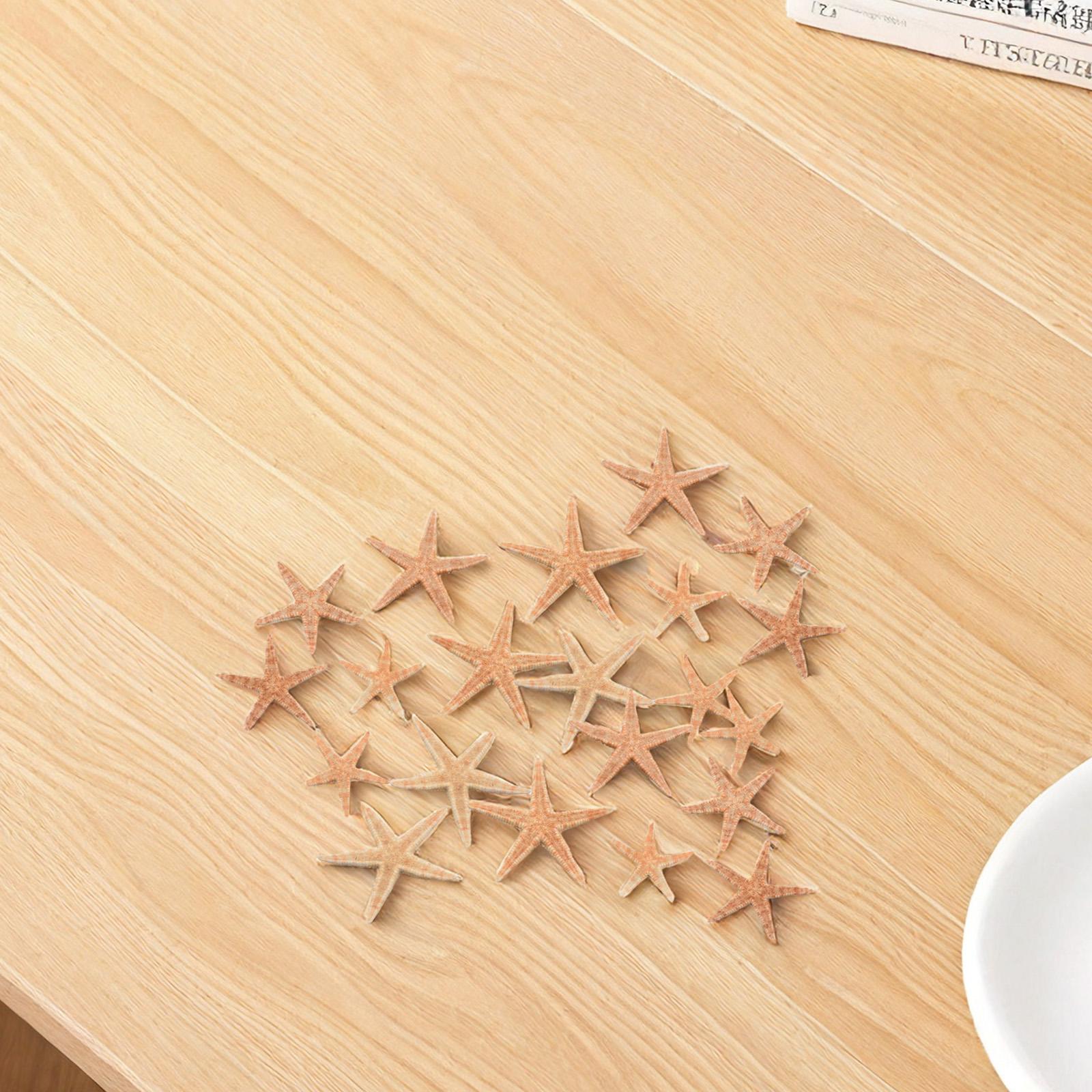 Craft Project Fish Tank Pcs Fish Tank Multi Home Decoration Natural Starfish Box Decoration DIY Projects Fish Tank Decor
Craft Project Fish Tank Pcs Fish Tank Multi Home Decoration Natural Starfish Box Decoration DIY Projects Fish Tank Decor