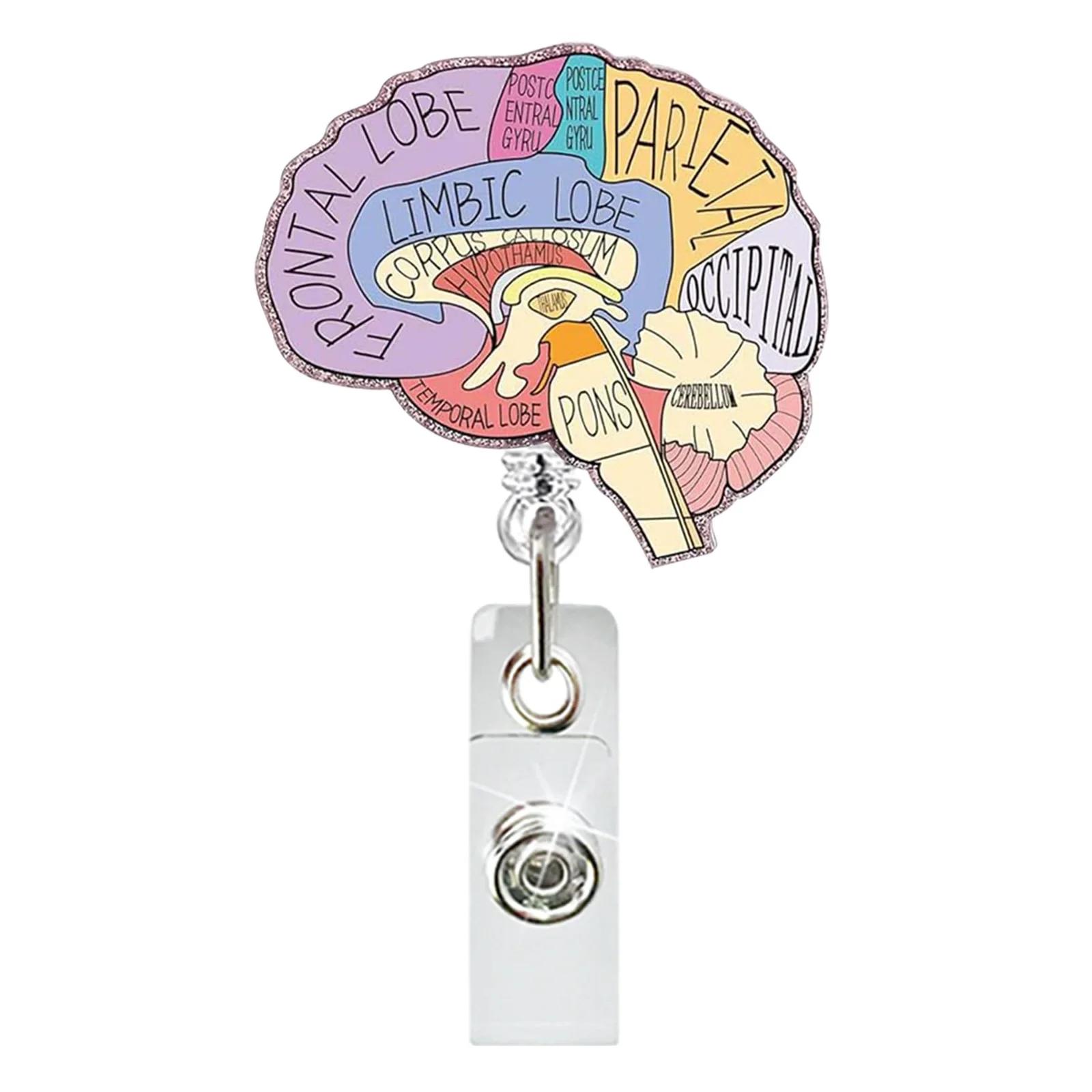 Card Holder Clip Heart Lung Brain Acrylic Glitter Retractable Badge Reel Rotating Crocodile Clip Id Badge Holder For Doctor
Card Holder Clip Heart Lung Brain Acrylic Glitter Retractable Badge Reel Rotating Crocodile Clip Id Badge Holder For Doctor