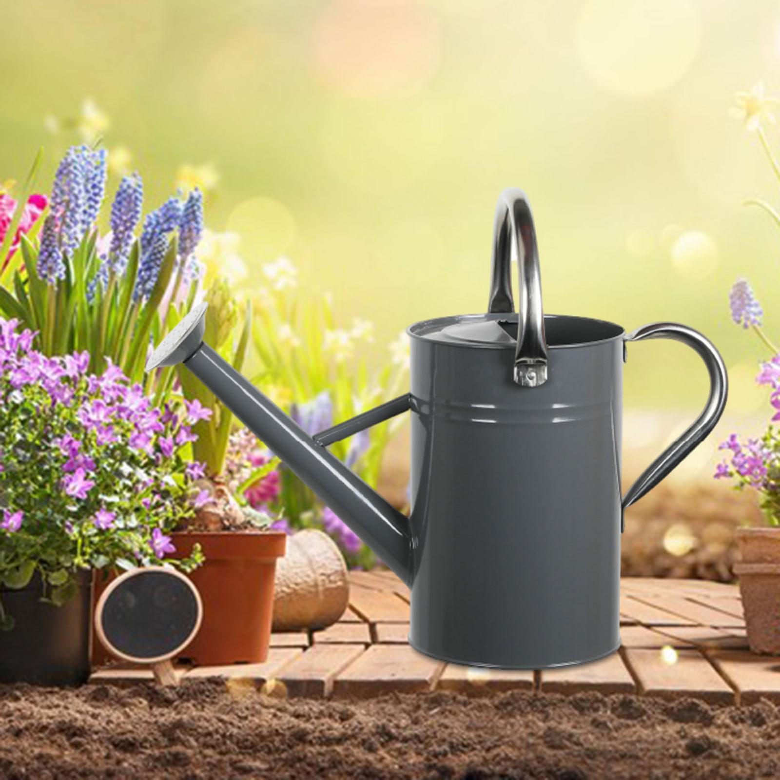 5L Watering Can for Plants with Ergonomic Handle And Detachable Spout сірий колір
5L Watering Can for Plants with Ergonomic Handle And Detachable Spout сірий колір