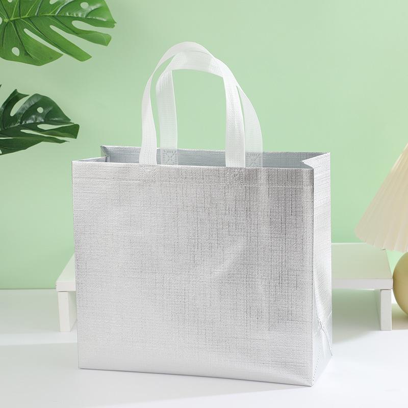 Iridescent Non-woven Tote Bag for Shopping, Clothing, and Gifts
Iridescent Non-woven Tote Bag for Shopping, Clothing, and Gifts