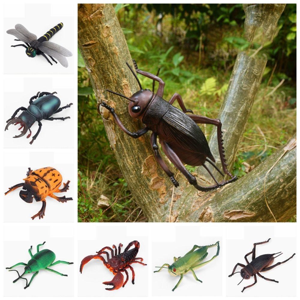 Spiders Simulation Wildlife Model Grasshopper Simulated Insect Model Science Toy Children Gifts grasshopper
Spiders Simulation Wildlife Model Grasshopper Simulated Insect Model Science Toy Children Gifts grasshopper