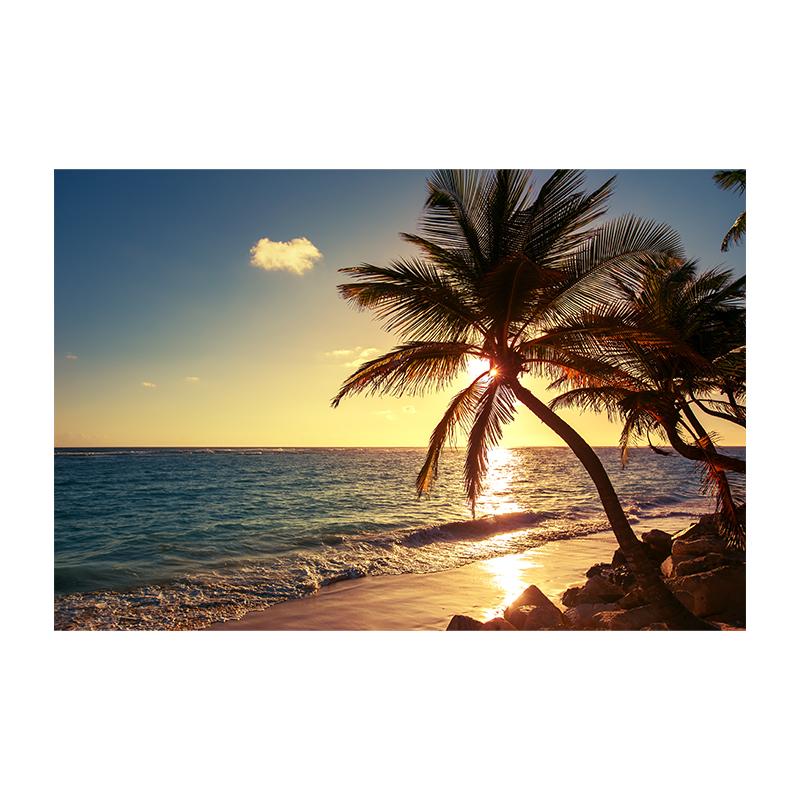 Beach Sunset Clouds Coco Nut Tree Canvas Painting Palm Tree Posters and Prints Sunrise Seascape Home Room Decor Unframed 20x30cm
Beach Sunset Clouds Coco Nut Tree Canvas Painting Palm Tree Posters and Prints Sunrise Seascape Home Room Decor Unframed 20x30cm