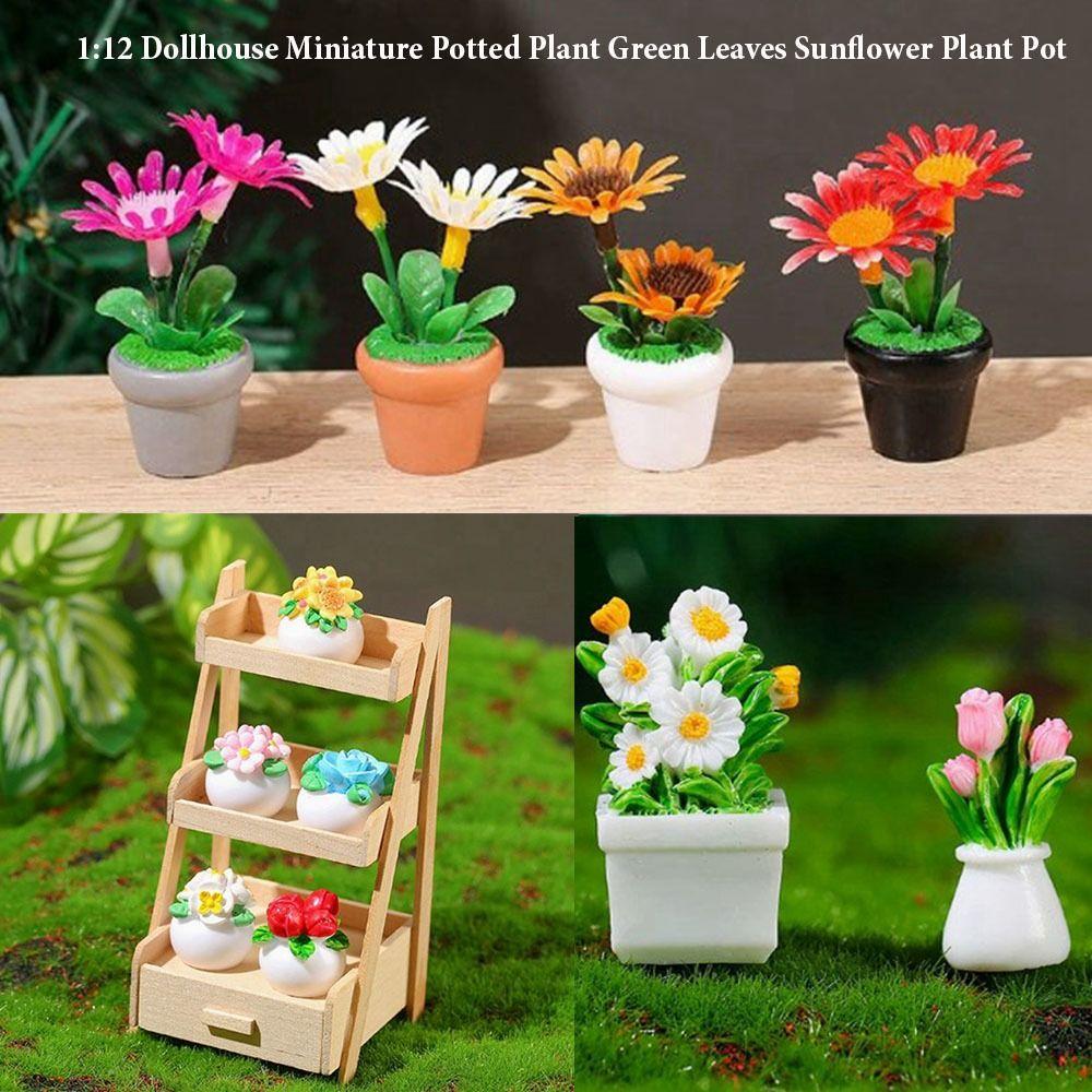 1:12 Dollhouse Miniature Potted Plant Multistyles Play House Decor Doll House Accessories 5
1:12 Dollhouse Miniature Potted Plant Multistyles Play House Decor Doll House Accessories 5