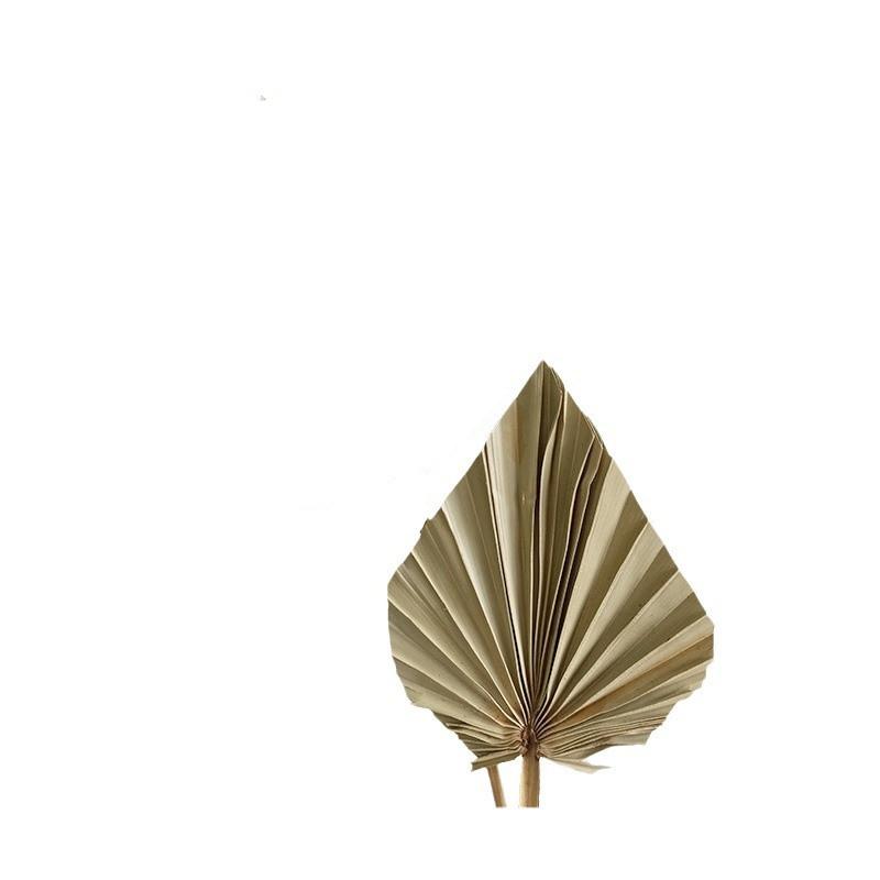 1/2 шт. Ветки пампасной травы DIY Свадебные украшения Домашний декор Лист пальмового веера Сушеный цветок Пальмовые листья Разной формы
1/2 шт. Ветки пампасной травы DIY Свадебные украшения Домашний декор Лист пальмового веера Сушеный цветок Пальмовые листья Разной формы