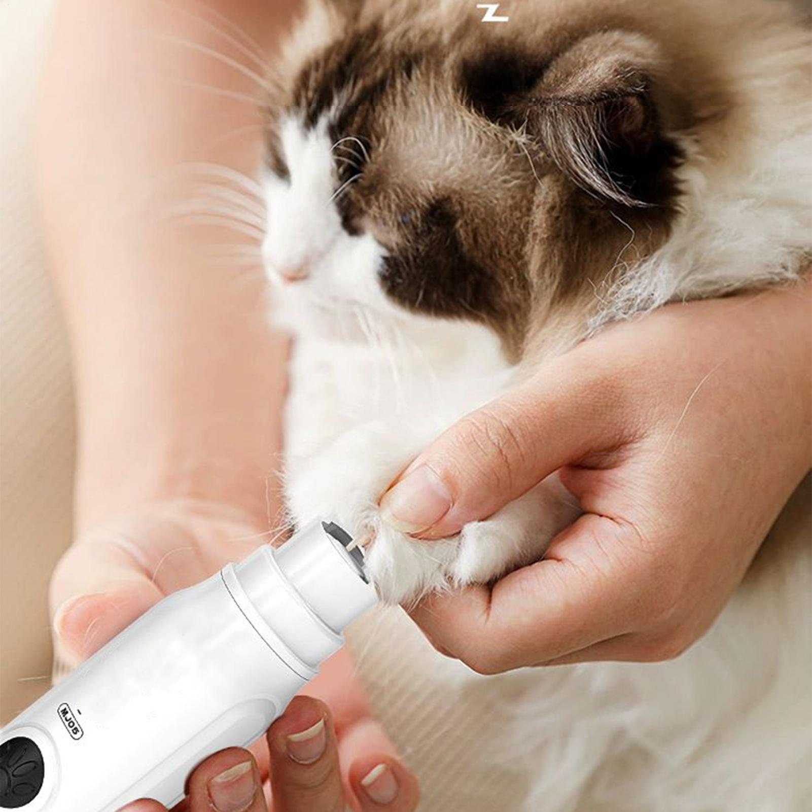Pet Nail Grinder Electric Dog Grinder For Grooming Nails LCD Display Cat Grooming Tools For Toenail Trimming Puppy Kitten Bunny China Mainland
Pet Nail Grinder Electric Dog Grinder For Grooming Nails LCD Display Cat Grooming Tools For Toenail Trimming Puppy Kitten Bunny China Mainland