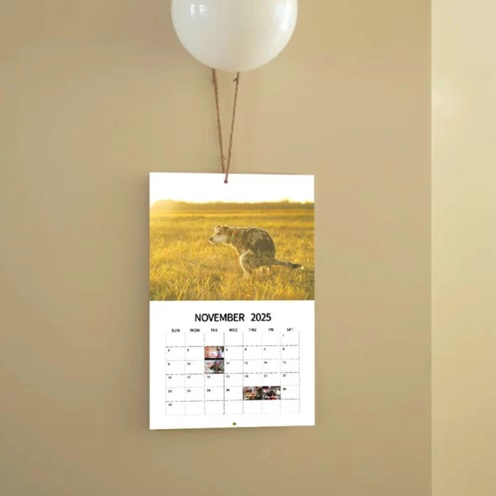 Календарь Meadow Dog Собаки какают Забавный настенный календарь Английский настольный календарь 2025 Календарь для офиса Calendar
Календарь Meadow Dog Собаки какают Забавный настенный календарь Английский настольный календарь 2025 Календарь для офиса Calendar