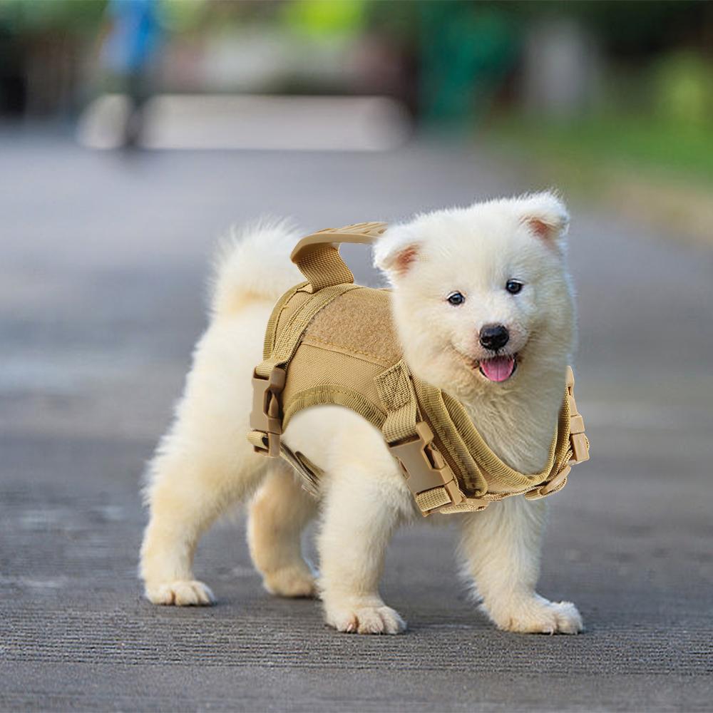 Tactical Puppy Harness For Small Dogs Adjustable Cat Harnesses Vest For Military Service Dogs Training Kitten Cat Accessories
Tactical Puppy Harness For Small Dogs Adjustable Cat Harnesses Vest For Military Service Dogs Training Kitten Cat Accessories