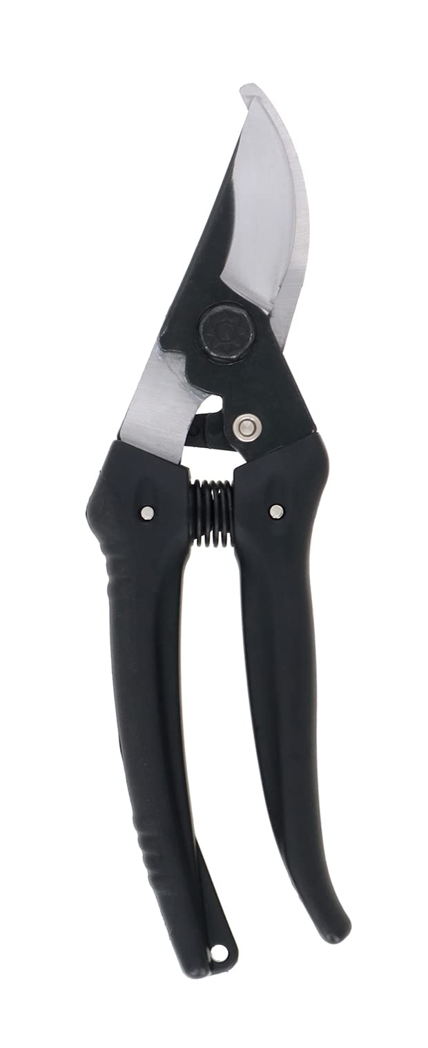 Секатор Takagi 180мм с японской заточкой
Секатор Takagi 180мм с японской заточкой