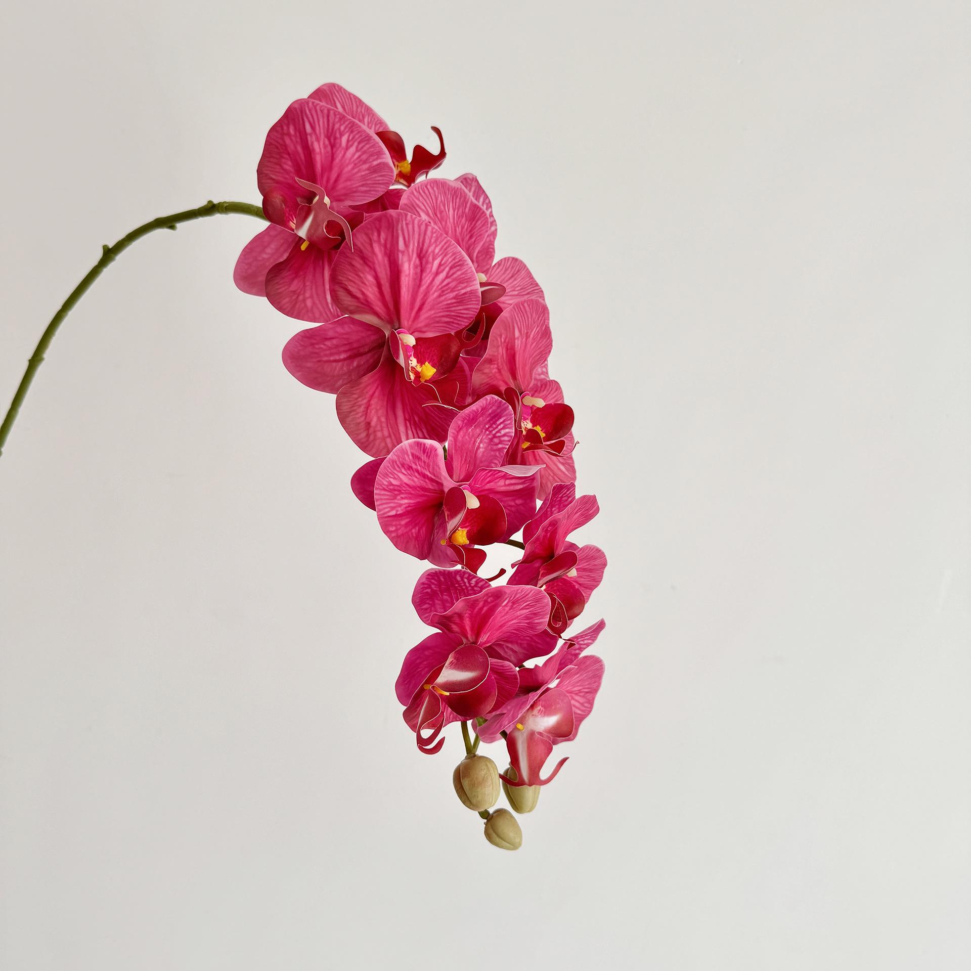 1pc 9-head Phalaenopsis Artificial Flowers Dining Table Decoration for Wedding Party Butterfly Orchid Home Decor Floral
1pc 9-head Phalaenopsis Artificial Flowers Dining Table Decoration for Wedding Party Butterfly Orchid Home Decor Floral