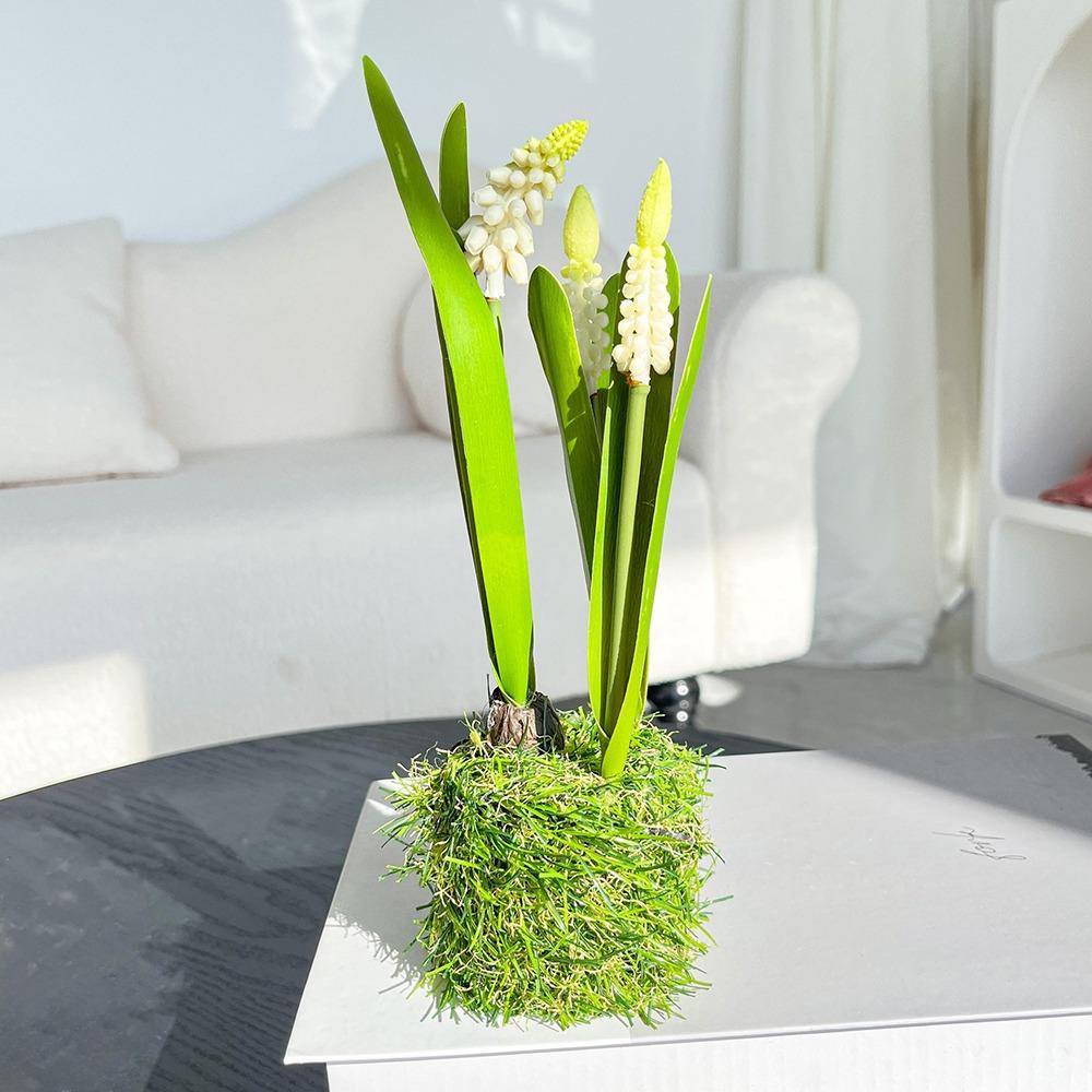 1Pcs Green Plant Artificial Hyacinth Flower Grass Flower Arrangement Ornament Office Desk Ornament white
1Pcs Green Plant Artificial Hyacinth Flower Grass Flower Arrangement Ornament Office Desk Ornament white