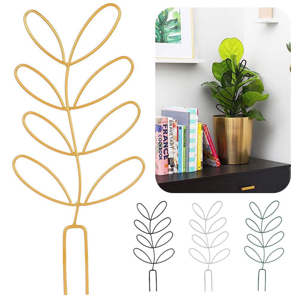 Ornamental Frame Leaf Shape Bracket Plant Trellis Vine Climbing Support Garden Arrangement чорний
Ornamental Frame Leaf Shape Bracket Plant Trellis Vine Climbing Support Garden Arrangement чорний