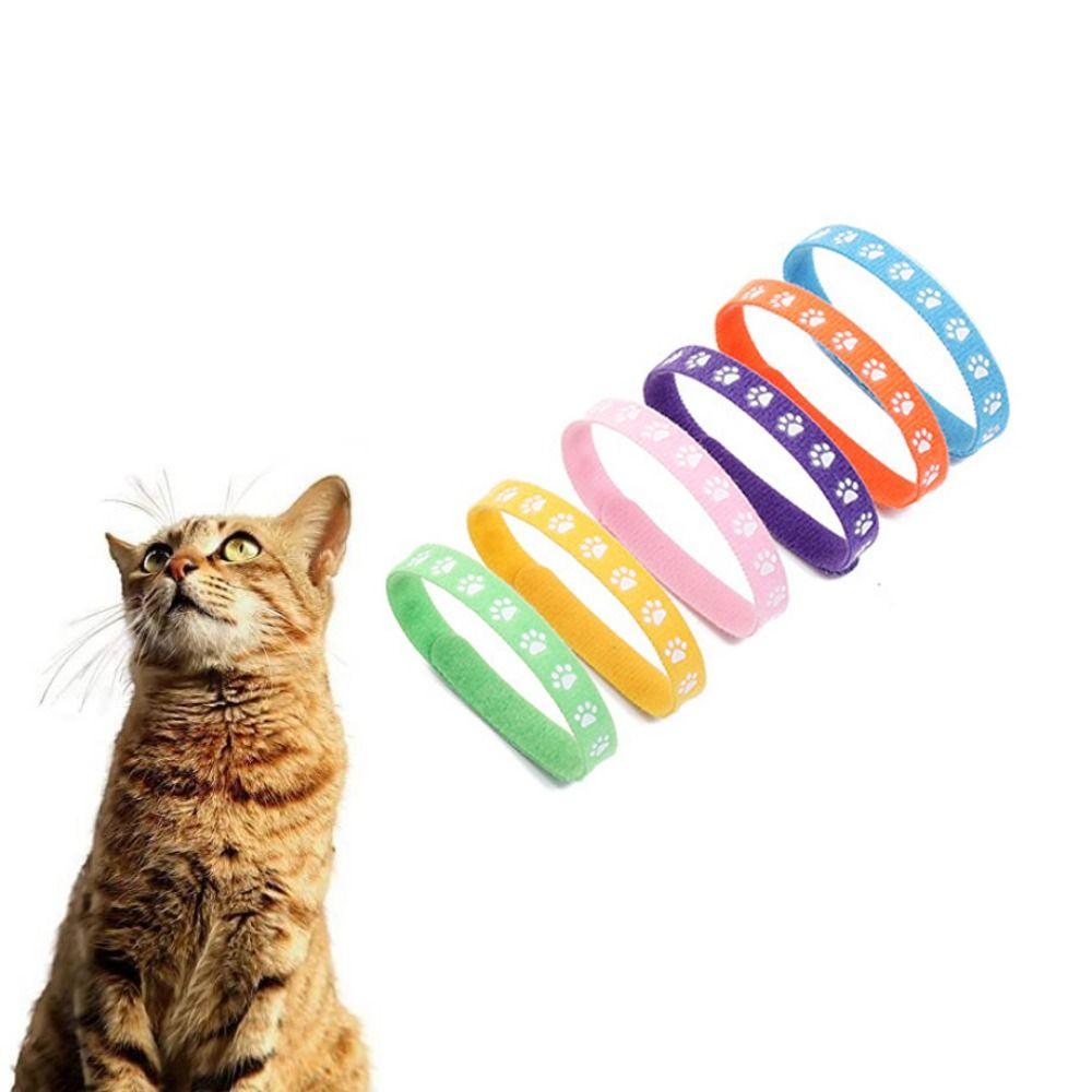 Polyester Fibre Kitten Classification Collar Pets Identify Collars Puppy Birth Marker Dog Necklace S
Polyester Fibre Kitten Classification Collar Pets Identify Collars Puppy Birth Marker Dog Necklace S