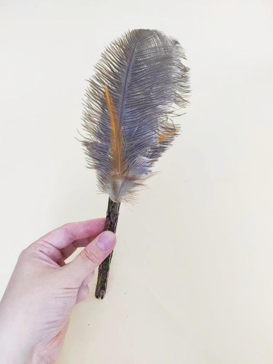 Cetition Level Toy Feathers Wooden Aspidistra Long Pole Replacement Head Interactive Pet Toys for s nt Fun...
Cetition Level Toy Feathers Wooden Aspidistra Long Pole Replacement Head Interactive Pet Toys for s nt Fun...