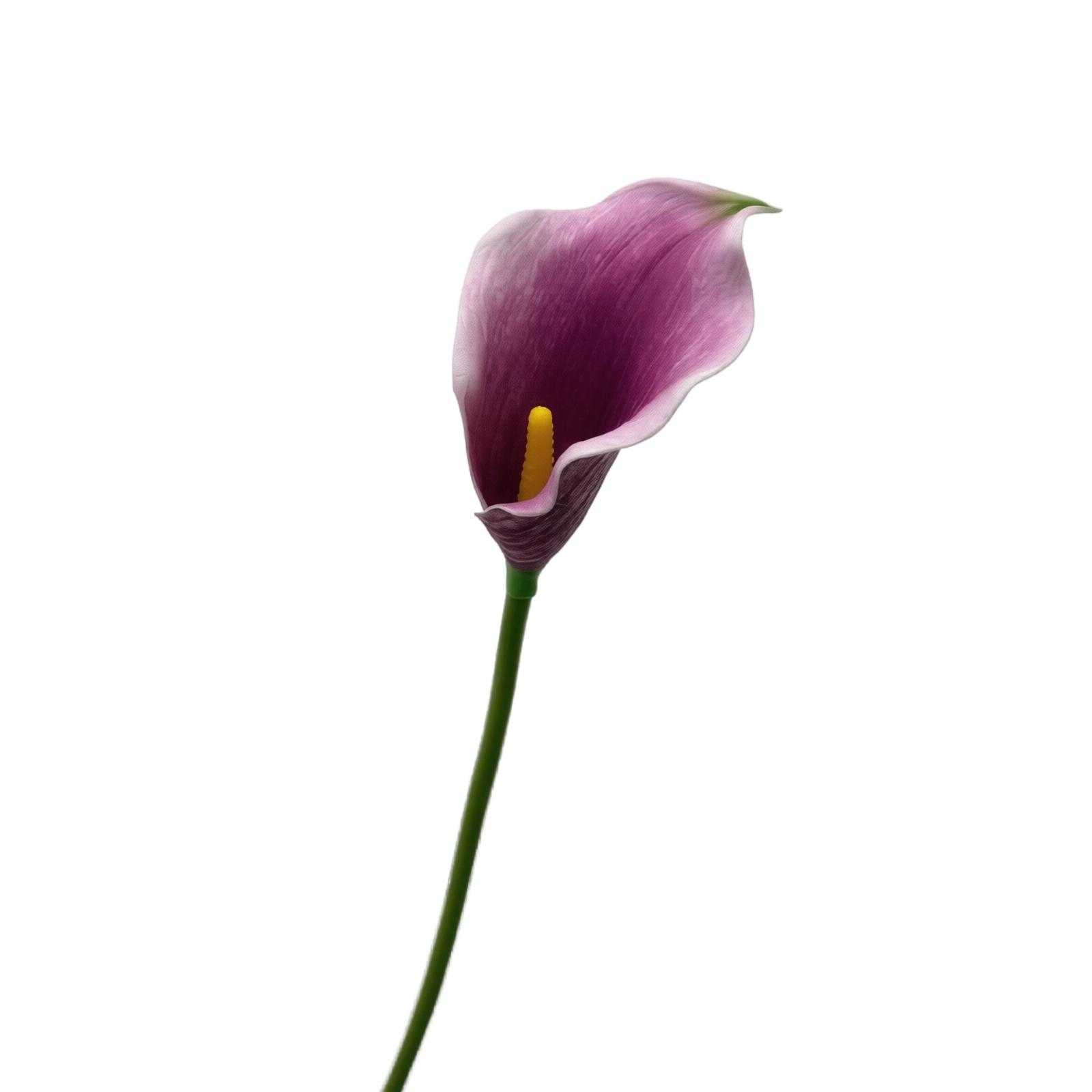 Artificial Calla Lily Flower Stem EVA Foam Material Realistic Texture Single Stem for Home Office Wedding Decoration Floral Arrangement One Size
Artificial Calla Lily Flower Stem EVA Foam Material Realistic Texture Single Stem for Home Office Wedding Decoration Floral Arrangement One Size