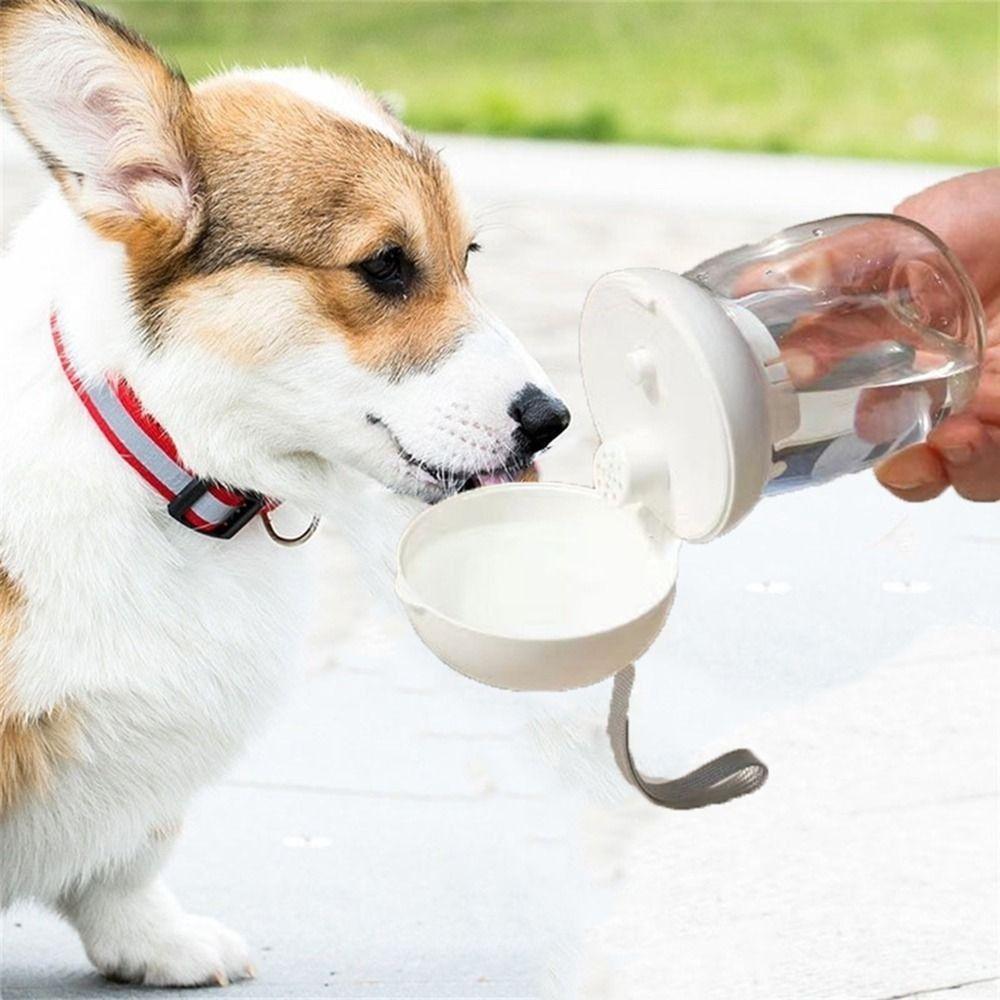 Foldable Pet Water Bottle Leakproof Pet Feeding Bowl Dog Supplies Pet Drinking Cup Walking белый
Foldable Pet Water Bottle Leakproof Pet Feeding Bowl Dog Supplies Pet Drinking Cup Walking белый
