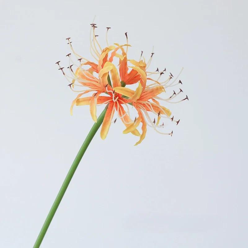 Wedding Decorative Artificial Flowers Silk Red Spider Lily Hall Decoration Simulation Flower 67cm Pink Red Spider Lilies Branch жовтий
Wedding Decorative Artificial Flowers Silk Red Spider Lily Hall Decoration Simulation Flower 67cm Pink Red Spider Lilies Branch жовтий